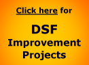 DSF Improvement Projects